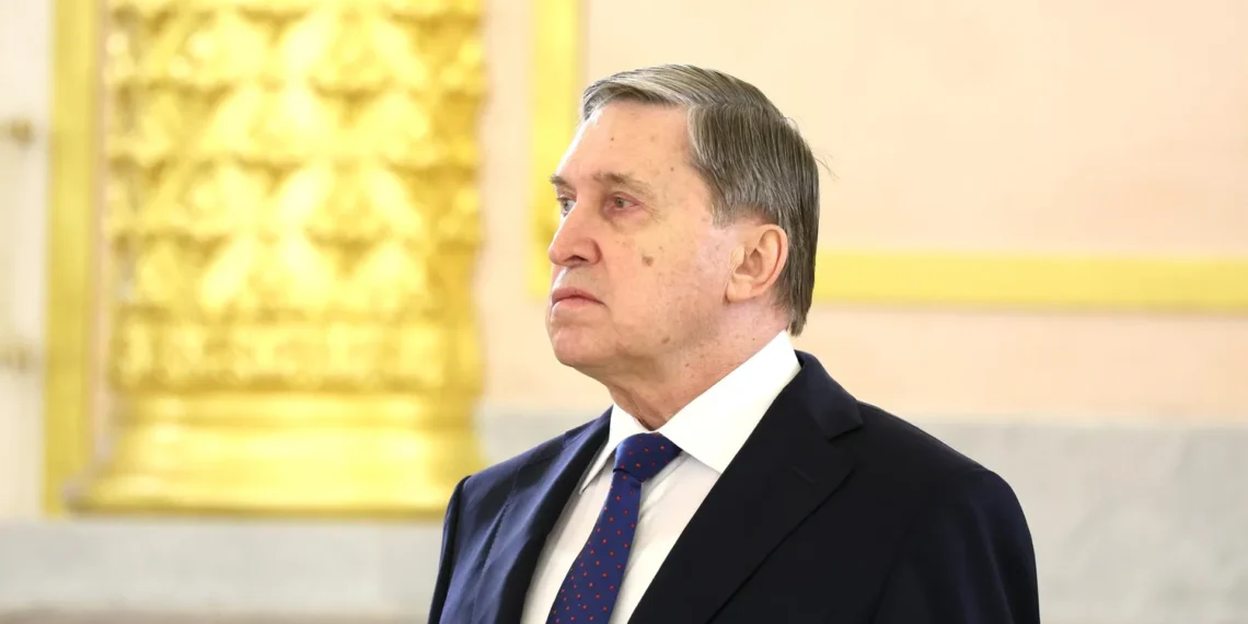 Presentation of credentials (2023-04-05) 07 | Licencija: CC BY 4.0 | Autorius: Presidential Executive Office of Russia