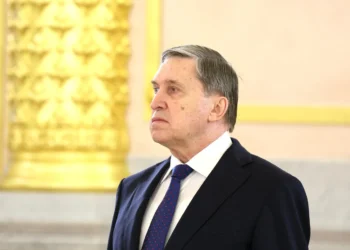 Presentation of credentials (2023-04-05) 07 | Licencija: CC BY 4.0 | Autorius: Presidential Executive Office of Russia