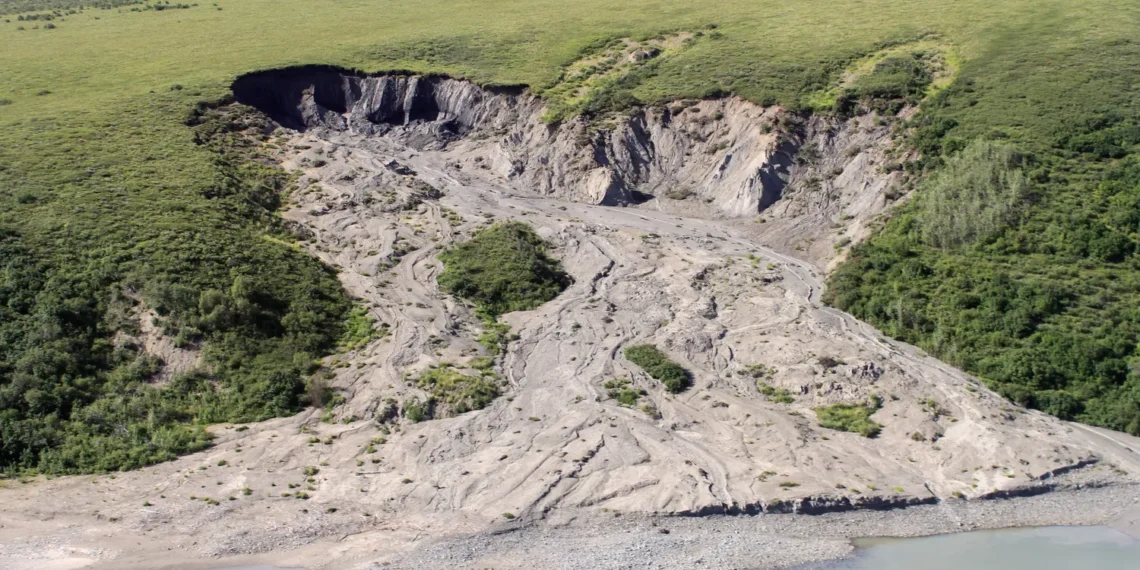 Tirpstantis amžinasis įšalas: kodėl naujos žolės gali išskirti daugiau šiltnamio dujų