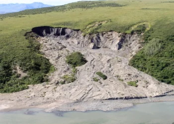 Tirpstantis Amžinasis Įšalas / Nuotrauka: NPS Climate Change Response (Wikimedia Commons), CC BY 2.0