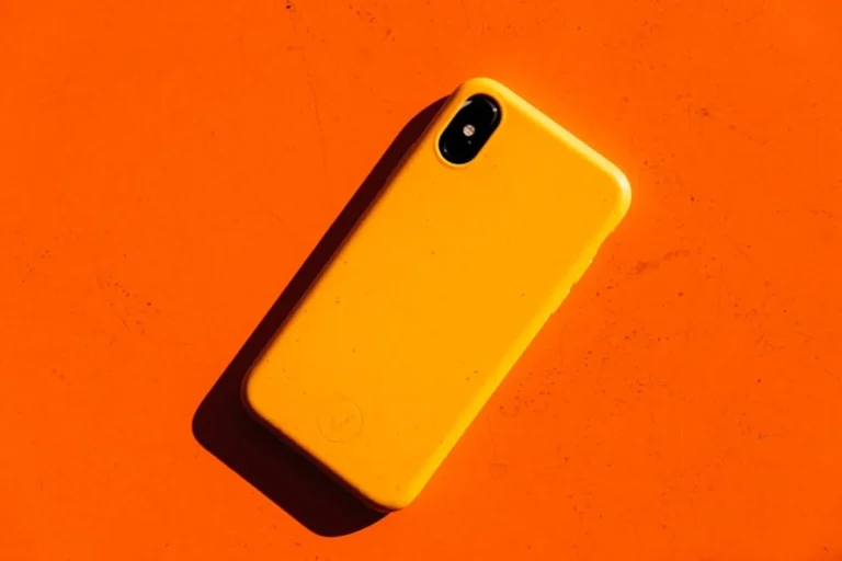 Pageltęs Telefono Dėklas / Nuotrauka: Revendo (Unsplash)